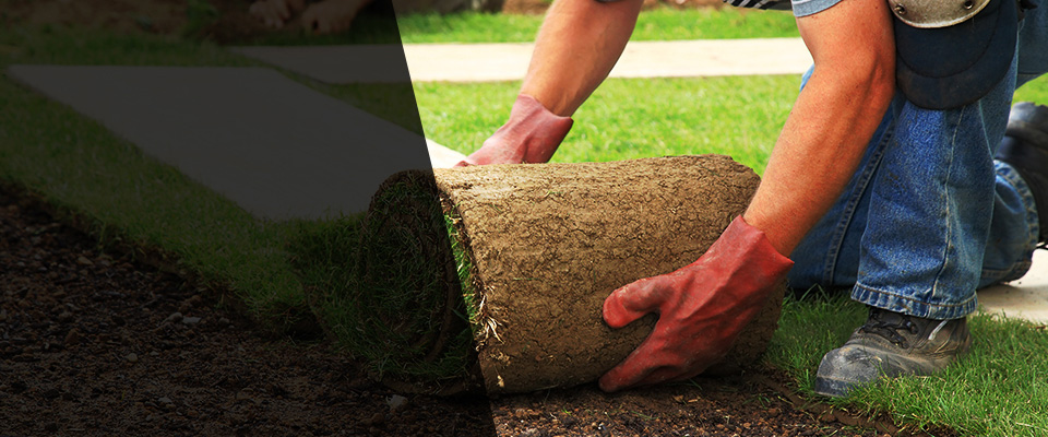 Lanesville Landscapers